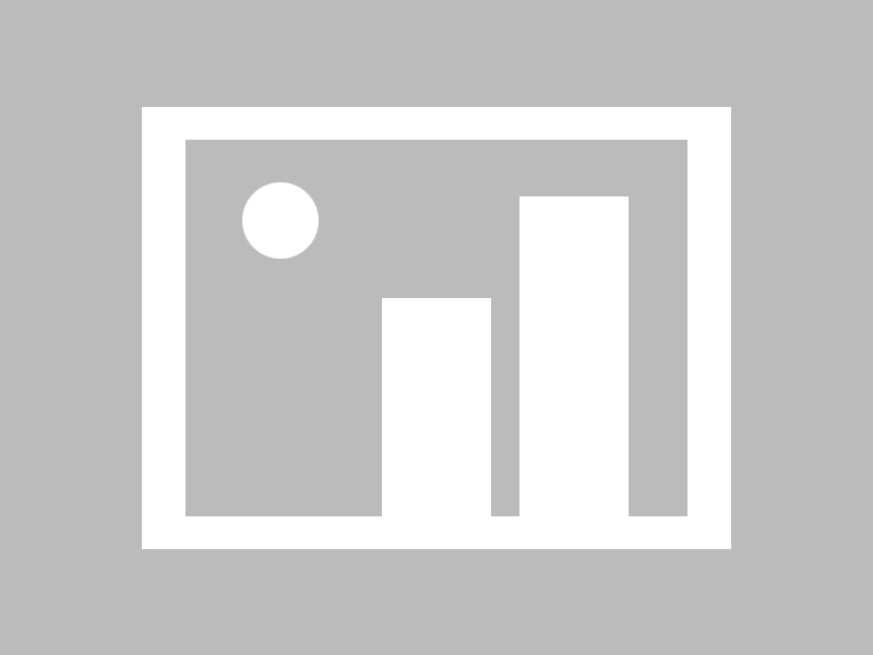 问道手游守护怎么选 平民推荐与门派搭配技巧